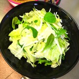 野菜サラダと簡単ドレッシングあっさり風★